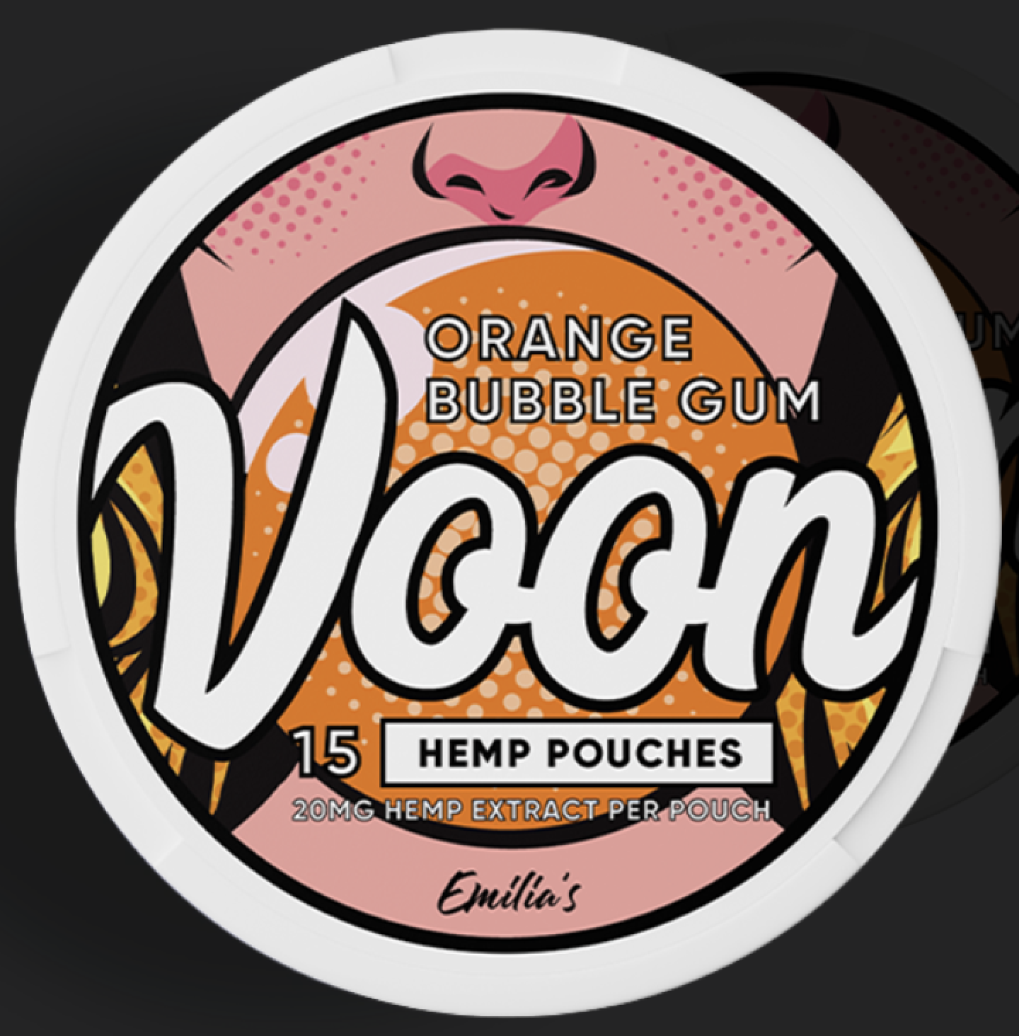 Växthus på Österlen