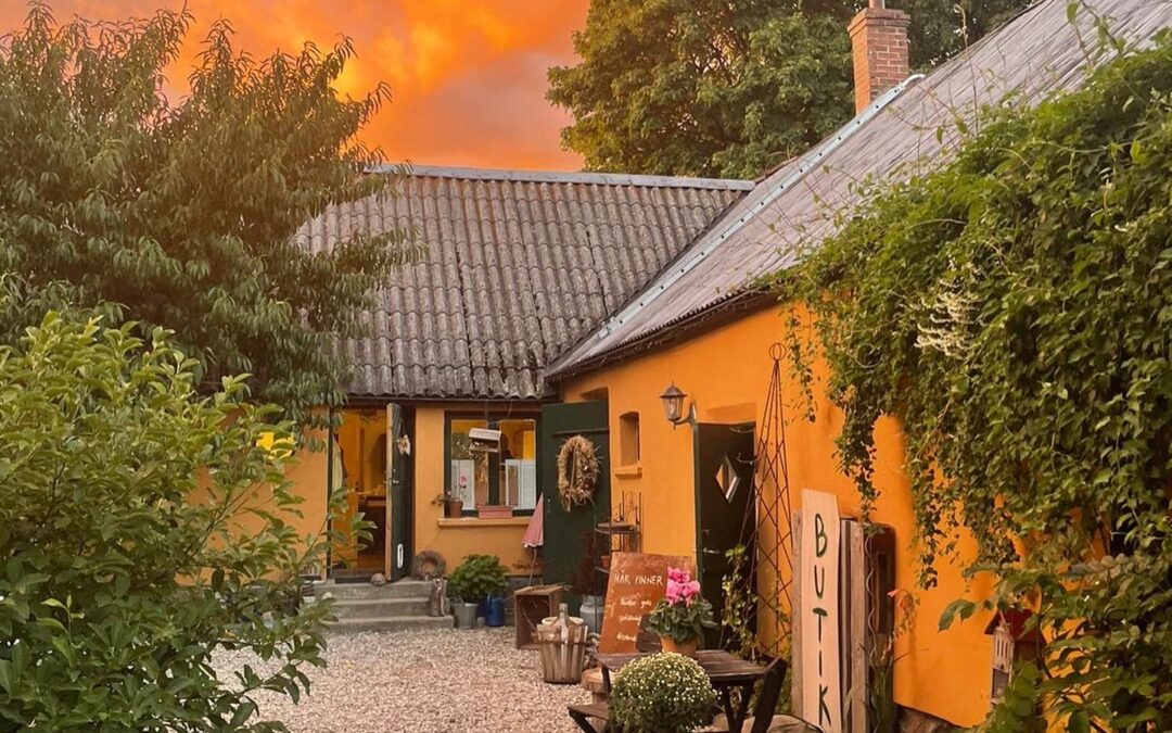 Women’s Wellness Retreat med verde
